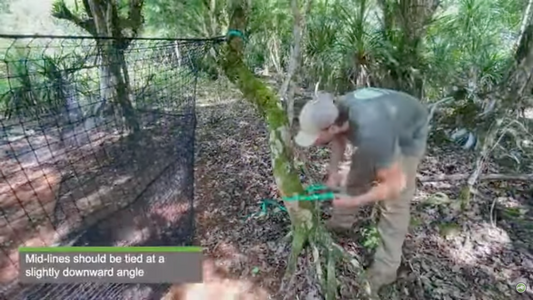Pig Brig Trap System Forest Set Up without T-Posts