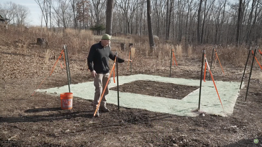 Where To Put A Boar Trap