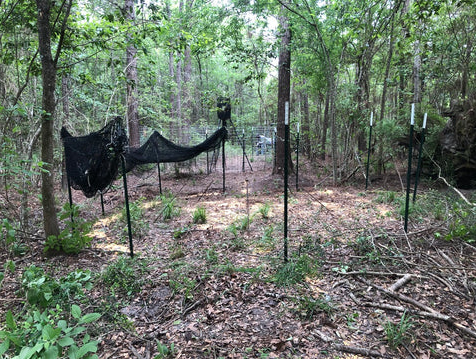 How to Bait A Boar Trap